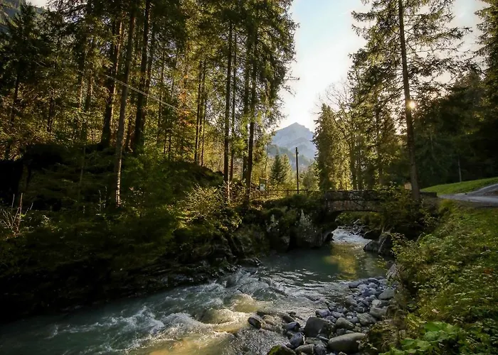 Nature Hideaway At Ferme A Marius Alloggio per agriturismo *